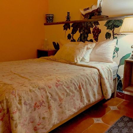산미겔데아옌데 Pozzito Boutique B&B 외부 사진
