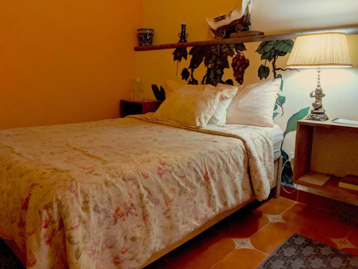 산미겔데아옌데 Pozzito Boutique B&B 외부 사진